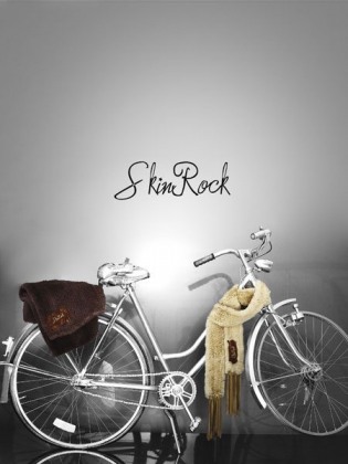 skinrockbike