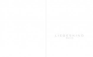 111118-liebeskind-lb-2012_lk02-screen-1