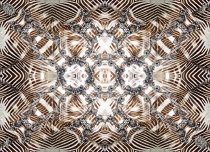 120902-zebra-180x130-rz-ind-1-lr