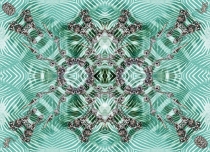 120902-zebra-180x130-rz-ind-2-lr