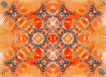 120902-zebra-180x130-rz-ind-3-lr