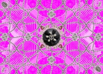 120902-zebra-180x130-rz-ind-4-lr