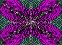 120902-zebra-180x130-rz-ind-6-lr