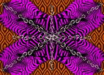 120902-zebra-180x130-rz-ind-7-lr