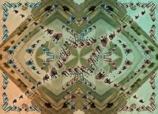 animal-dance-rz-180x130-hr-lr_0