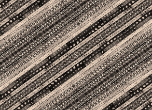 arche-noah-rz-180x130-hr-lr_0