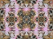 mk-ss14-1-3