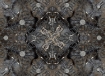 mk-ss14-2