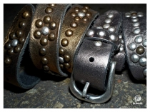 modeist_np-2012_02-12